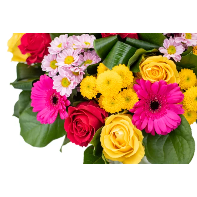 Kytice růží, germín a santin